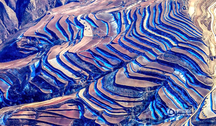 ?? ????? ??? ???? ????… ??? ??