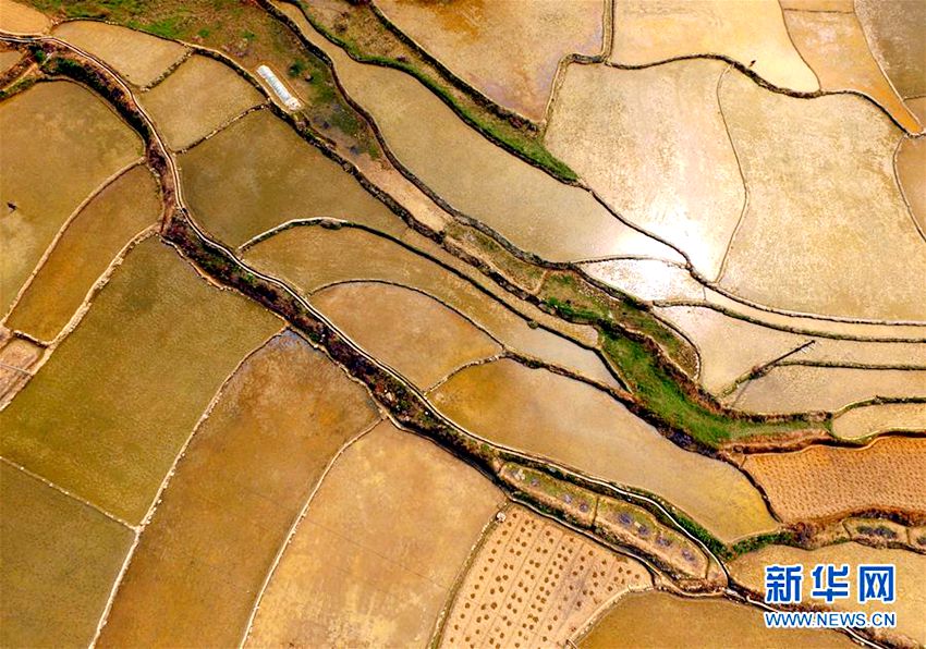 ?? ?? ??? ??… ? ?? ?? ??