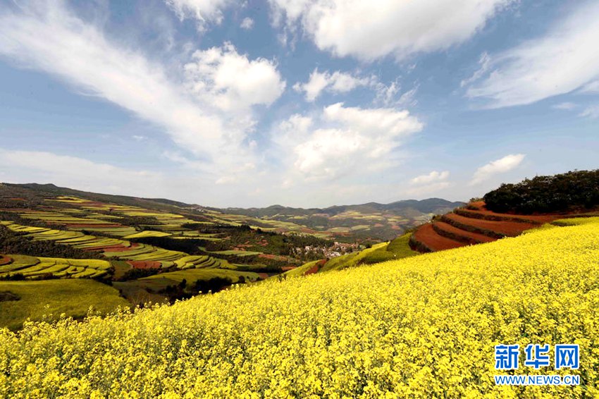 [??? ????] ?? ?? ?… ?? ?? ??