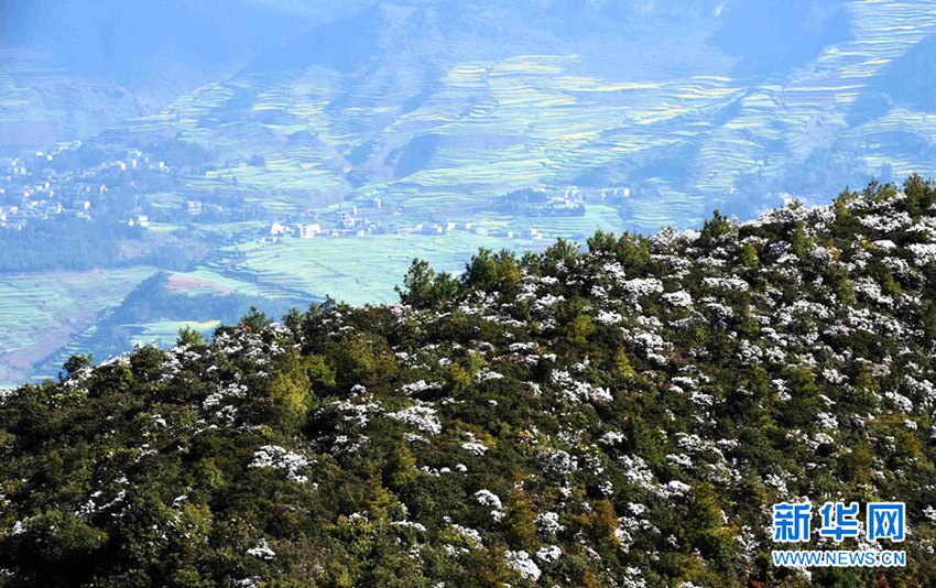 [??? ????] ?? ?? ?… ?? ?? ??