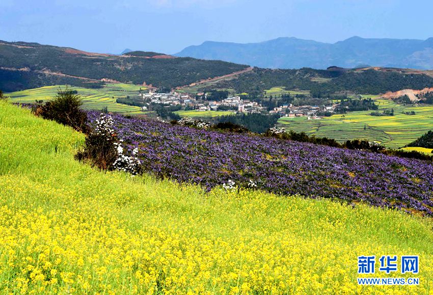 [??? ????] ?? ?? ?… ?? ?? ??