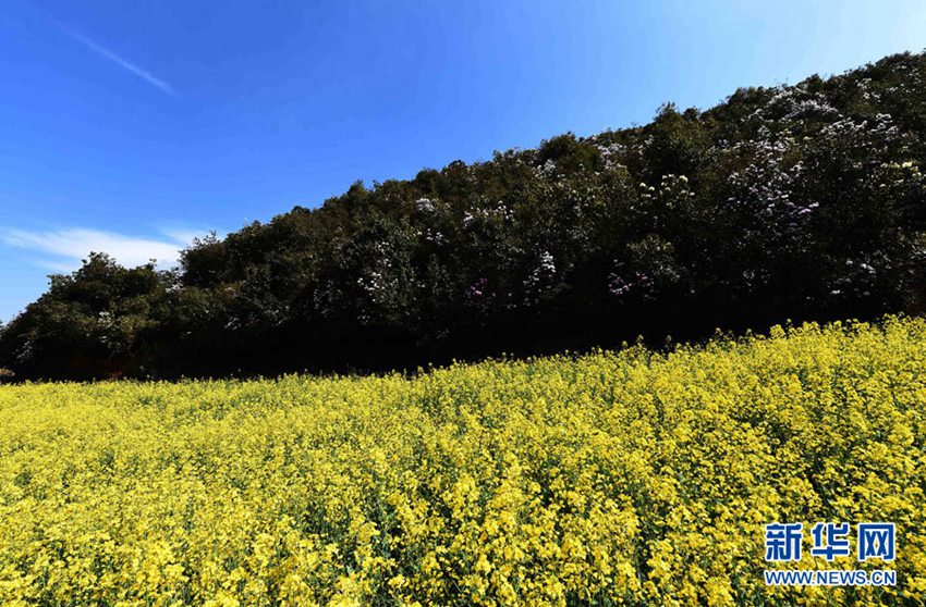 [??? ????] ?? ?? ?… ?? ?? ??