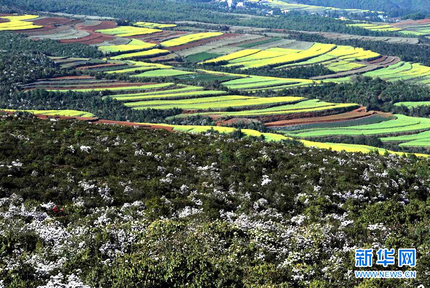 [??? ????] ?? ?? ?… ?? ?? ??