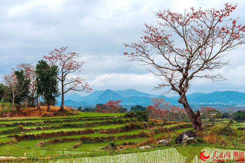 ??? ??, ???? ???? ???!