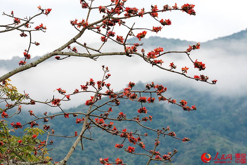 ??? ??, ???? ???? ???!