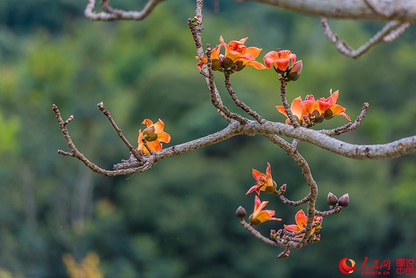 ??? ??, ???? ???? ???!