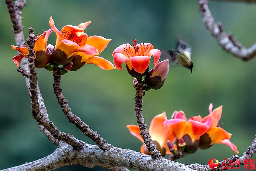 ??? ??, ???? ???? ???!