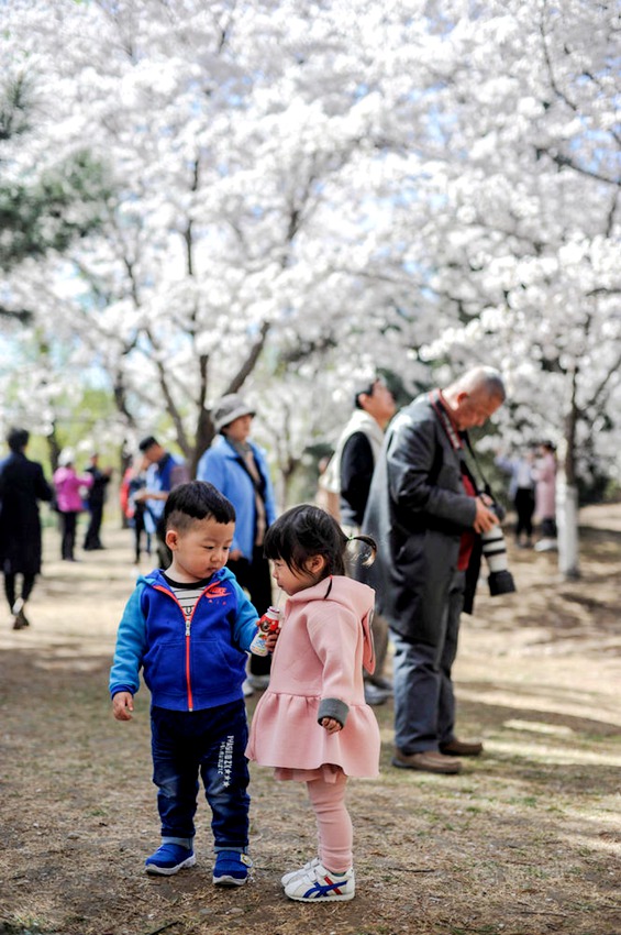 ??? ????, ??? ?? ???!