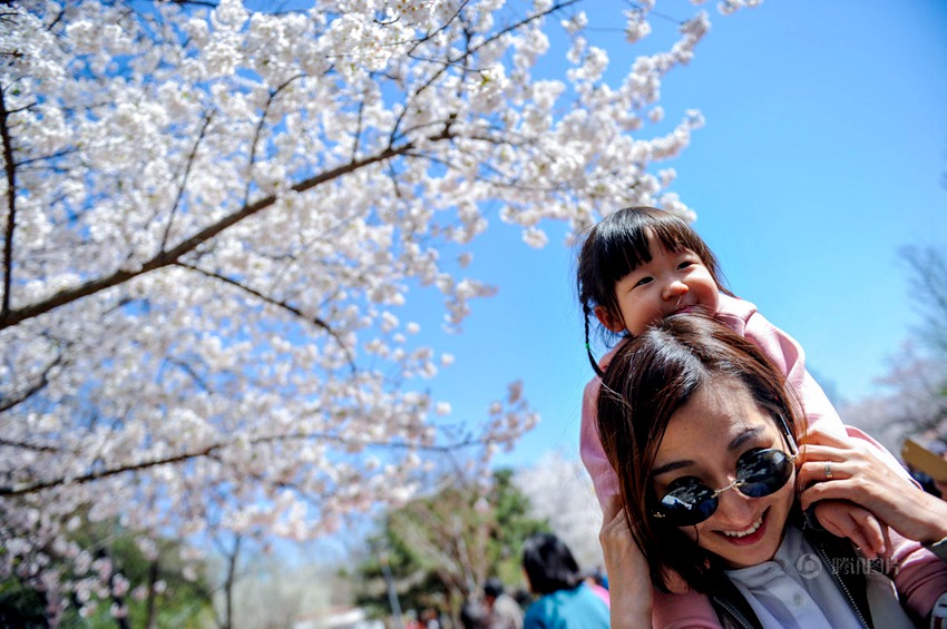 ??? ????, ??? ?? ???!