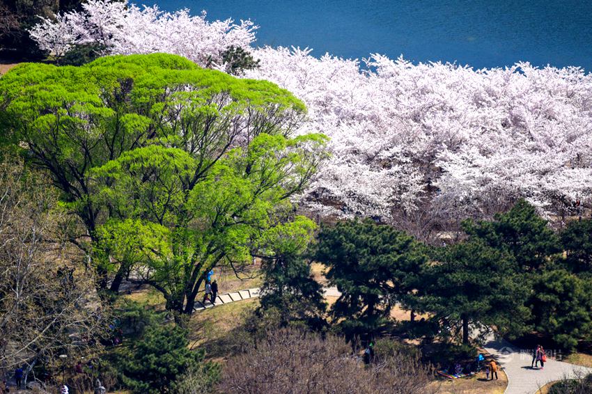 ??? ????, ??? ?? ???!