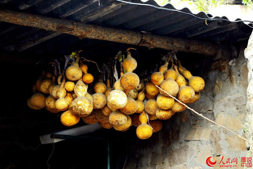 ‘?? ?? ? ??’ ??? ?????