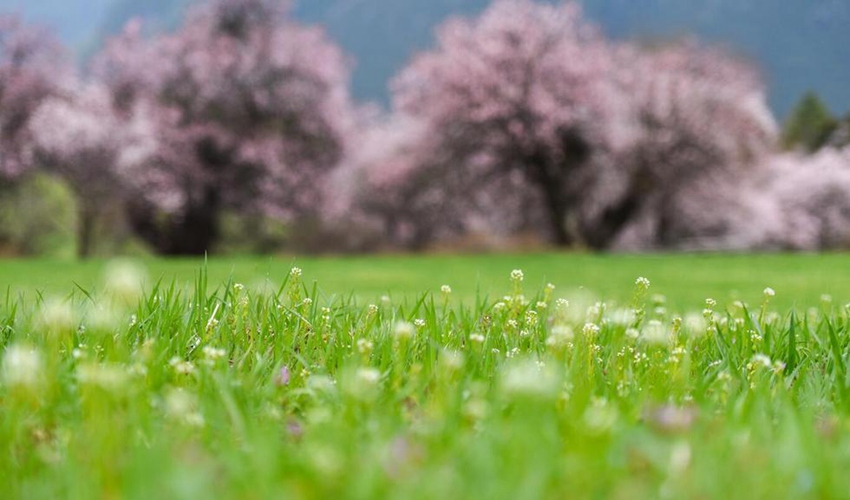 ??? ? ??? ?? ??, ‘????’ ?? ??