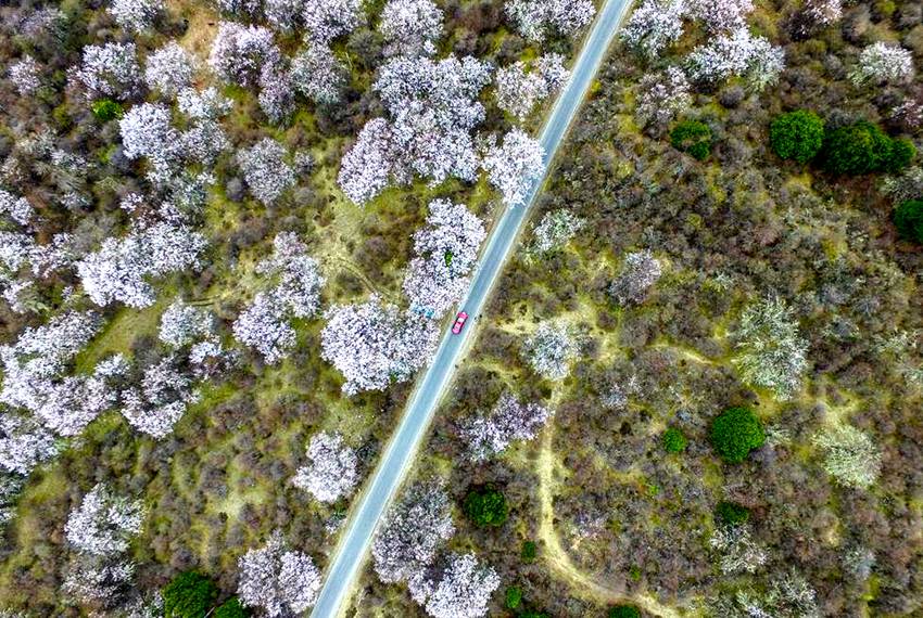 ??? ? ??? ?? ??, ‘????’ ?? ??