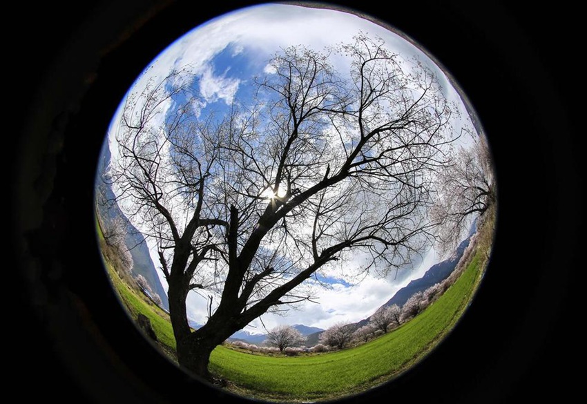 ??? ? ??? ?? ??, ‘????’ ?? ??