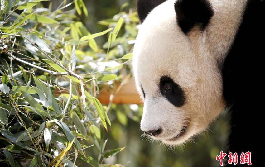 ??? ? ?? ???&????, ? ?? ??? ??