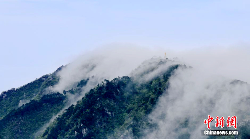 ?? ??, ??? ‘????’ ?? ??