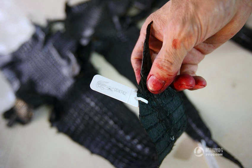 [???? ??] ?? ??? '?? ??' ??