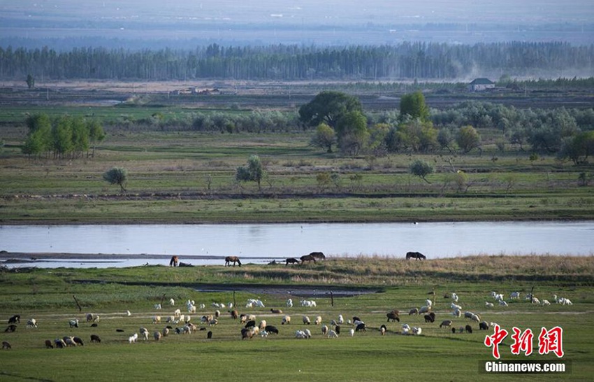 ?? ???, ?? ?? ? ?? ?? ?? ??