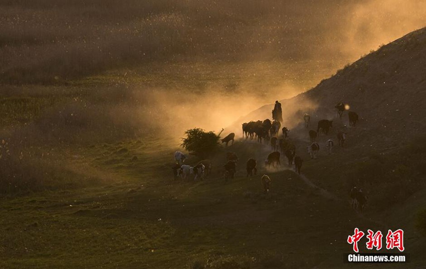 ?? ???, ?? ?? ? ?? ?? ?? ??