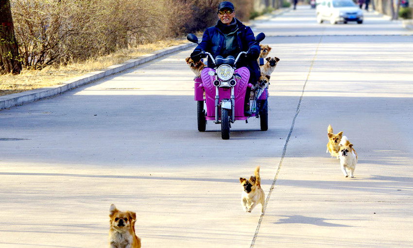 [???? ??] ?? 72? ? ???? ???