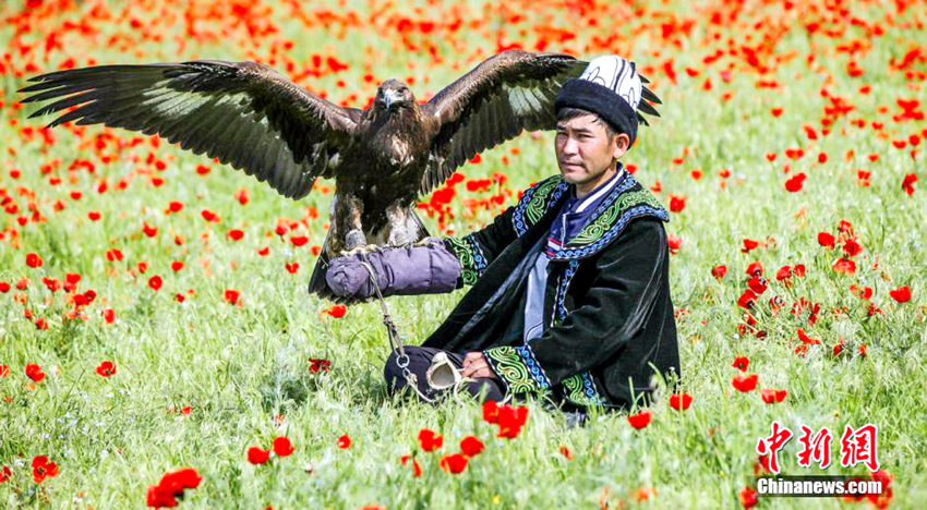 ?? ??? ?? ? ??, ?? ?? ??