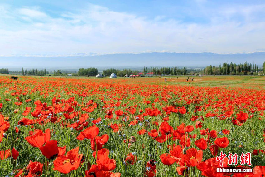 ?? ??? ?? ? ??, ?? ?? ??