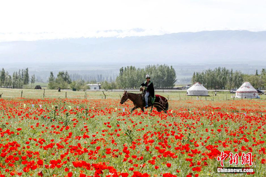 ?? ??? ?? ? ??, ?? ?? ??