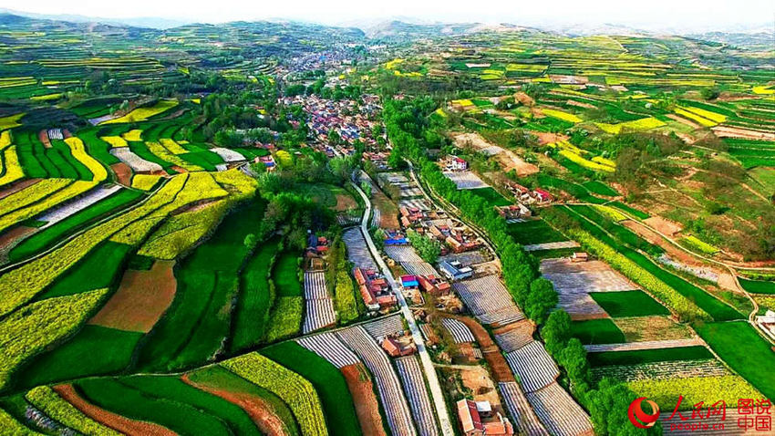 ??? ??, ?? ??? ???? ? ??