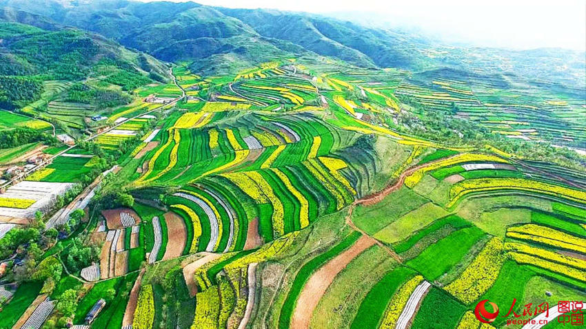 ??? ??, ?? ??? ???? ? ??