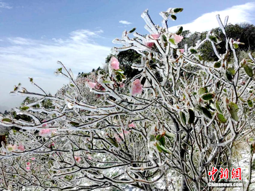 ???? ??? 5?? ?, ???? ??? ?????