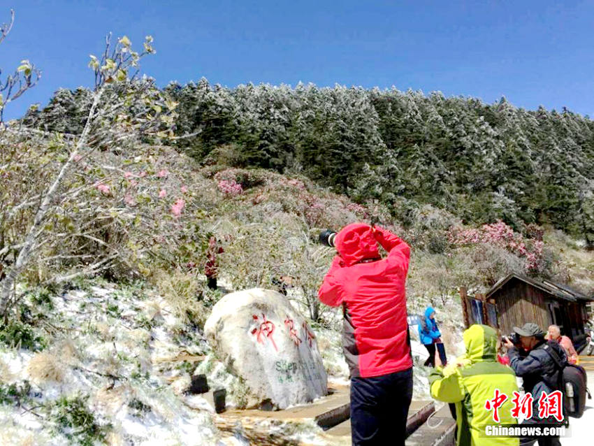 ???? ??? 5?? ?, ???? ??? ?????