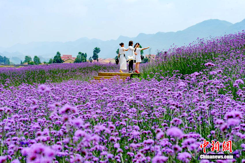 ???? ??? 81? ??? ???? ‘?? ?’