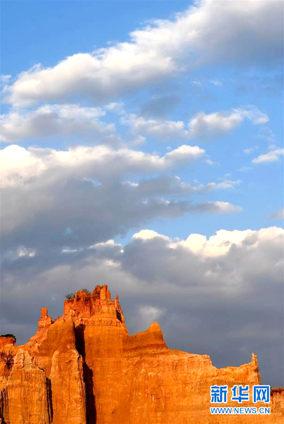 ?? ???? ‘??’, 50km2 ??? ??