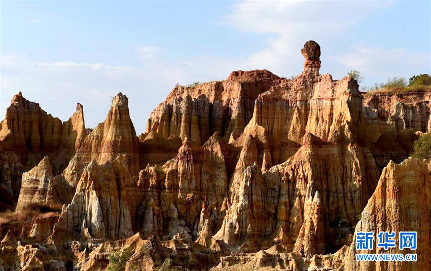 ?? ???? ‘??’, 50km2 ??? ??