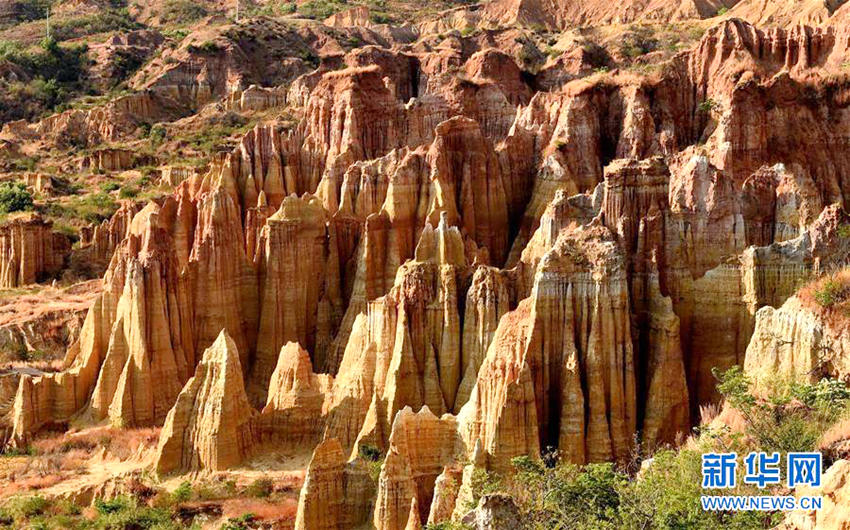 ?? ???? ‘??’, 50km2 ??? ??