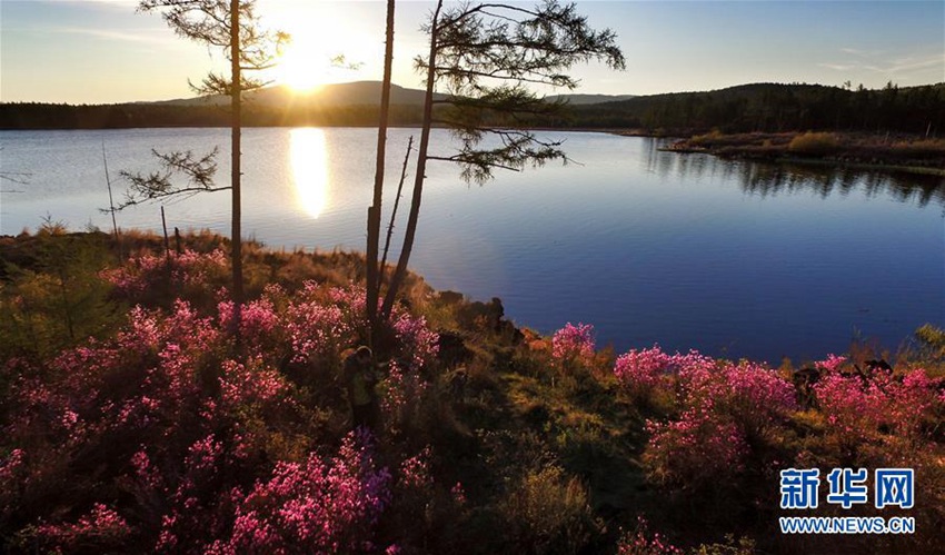 ???? ??? ??? ?, ????? ???? ??