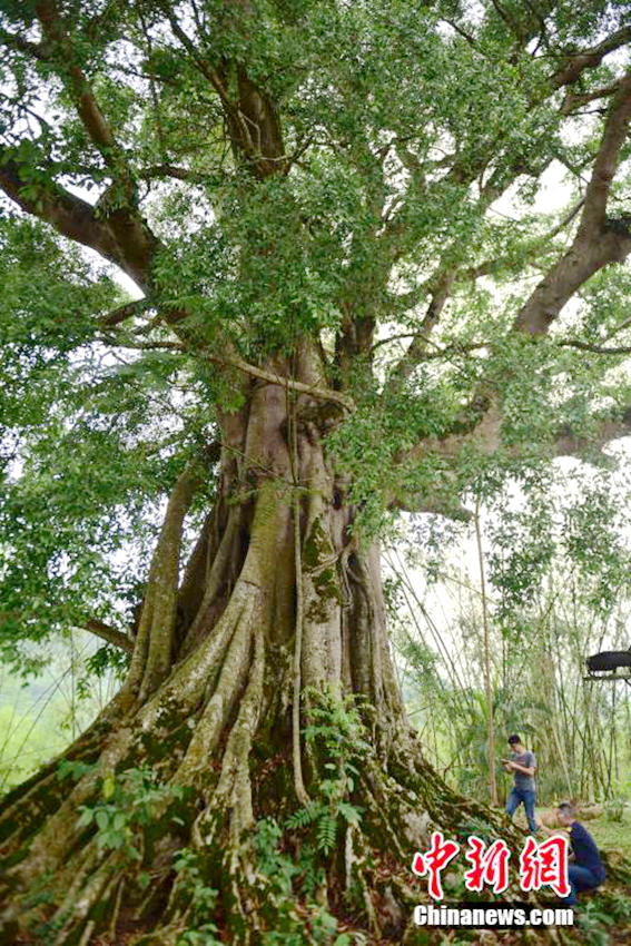 ?? ????? ?? ?? ?? ?? ??, ?? ??