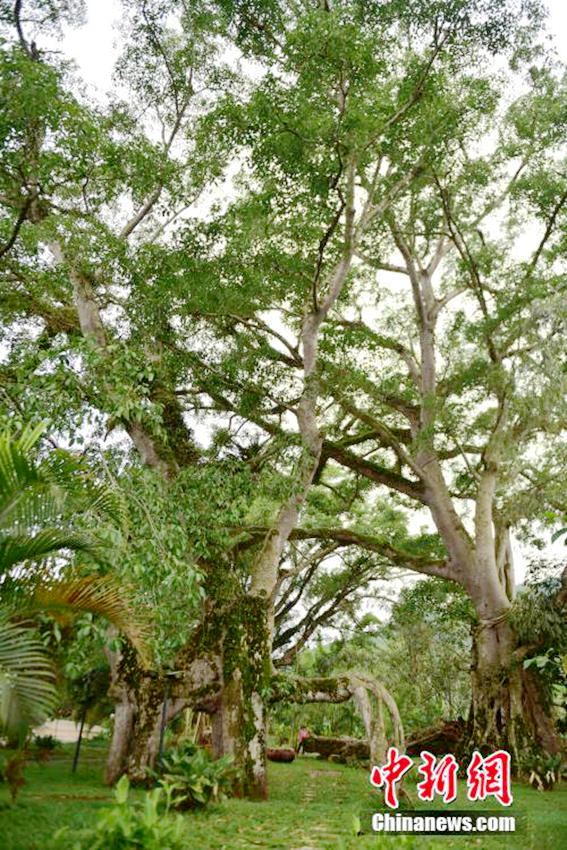 ?? ????? ?? ?? ?? ?? ??, ?? ??