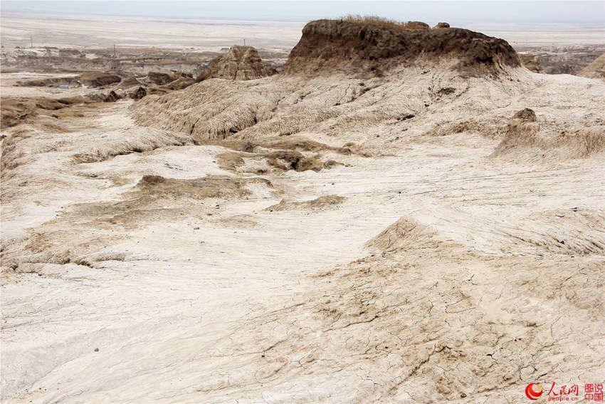 ?? ??, ?? ?? ?? ???? ‘?? ?’