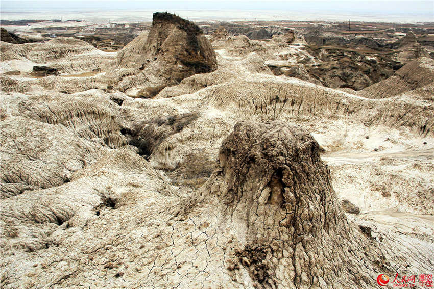 ?? ??, ?? ?? ?? ???? ‘?? ?’