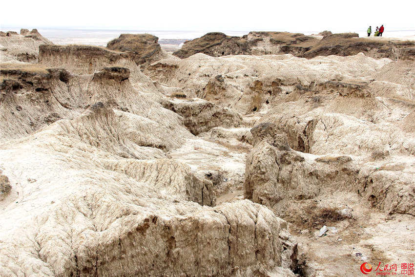 ?? ??, ?? ?? ?? ???? ‘?? ?’