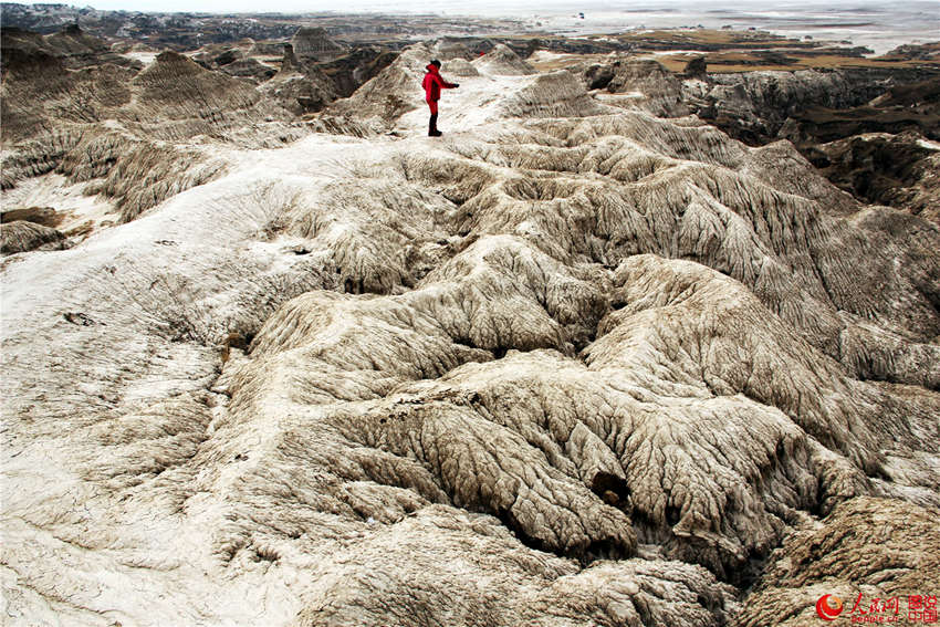 ?? ??, ?? ?? ?? ???? ‘?? ?’