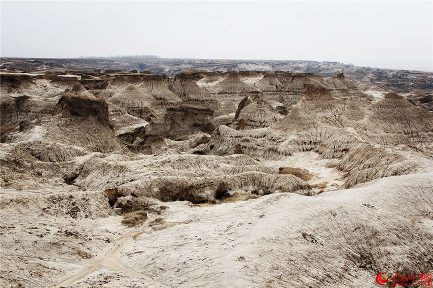 ?? ??, ?? ?? ?? ???? ‘?? ?’