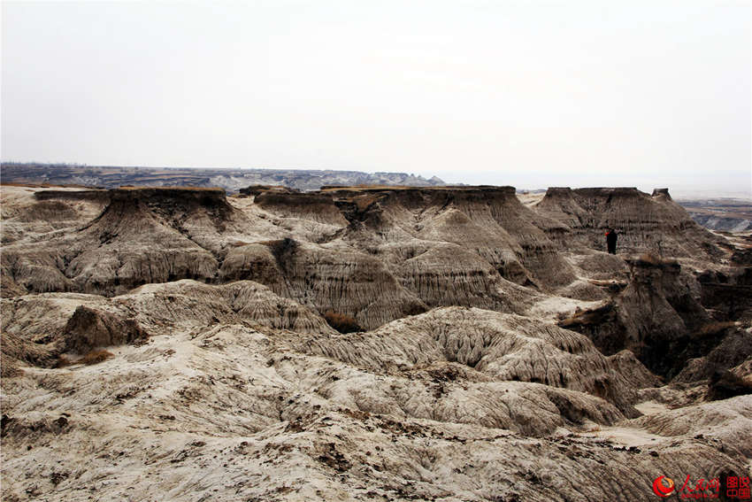 ?? ??, ?? ?? ?? ???? ‘?? ?’