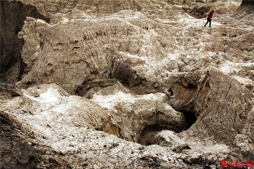 ?? ??, ?? ?? ?? ???? ‘?? ?’