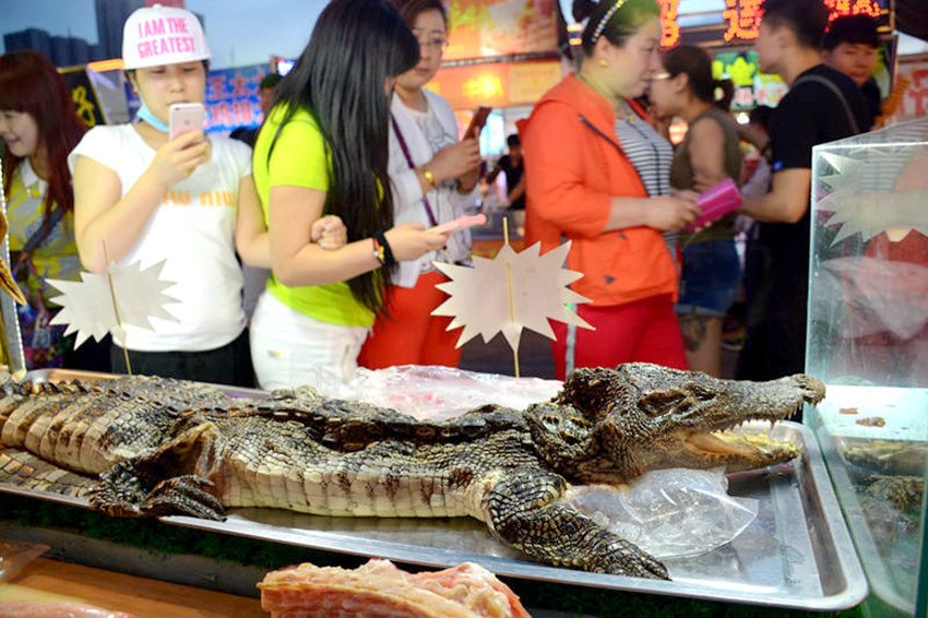 ?? ?? ????, ?? 20??? ????