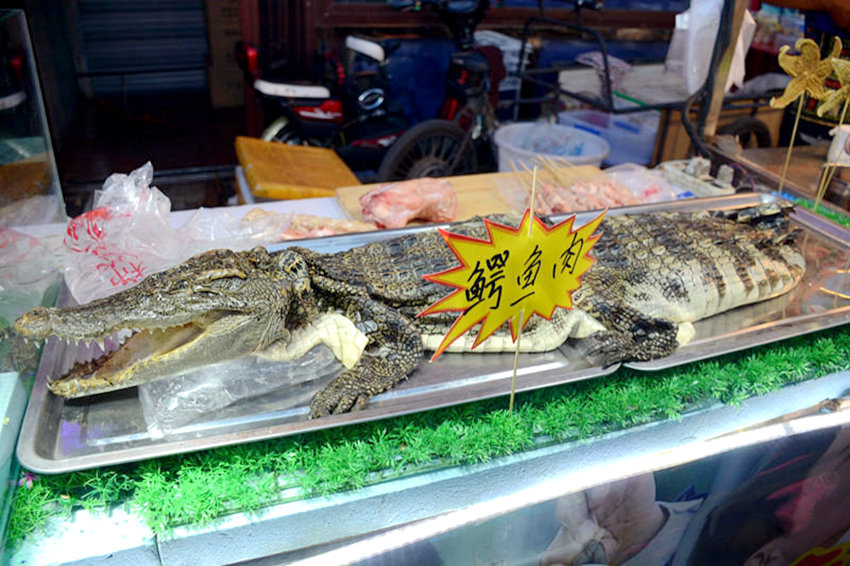 ?? ?? ????, ?? 20??? ????