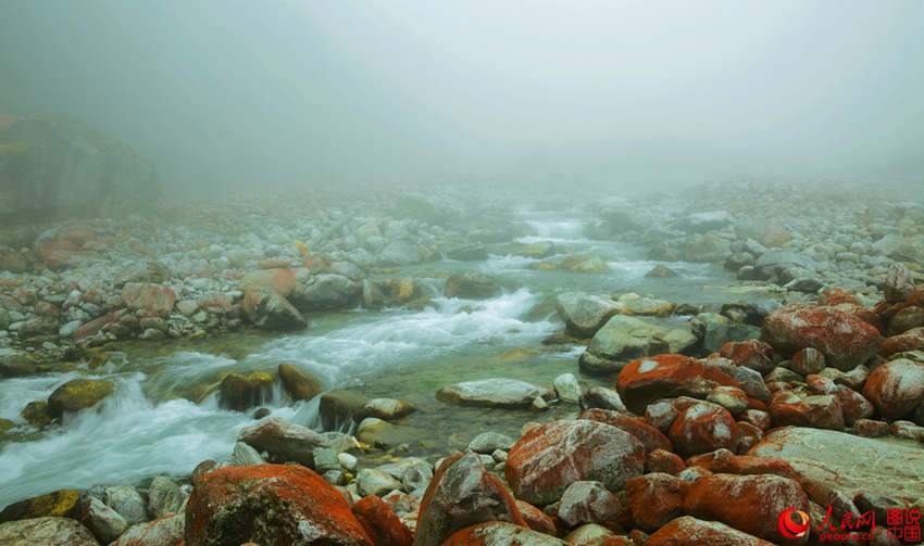 ?? ? ?? ????? ???? ??