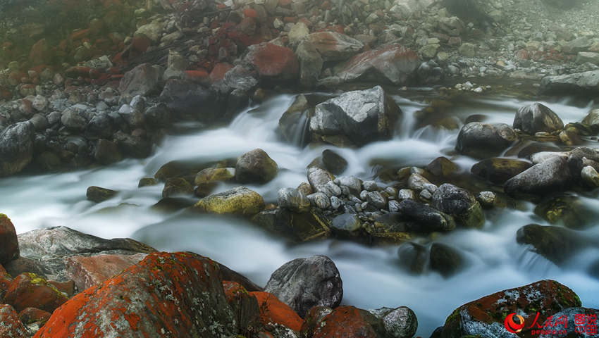 ?? ? ?? ????? ???? ??