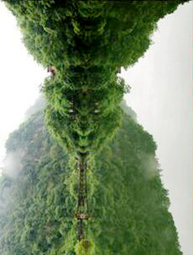 ?? ??? ?? ???? ????? ??? ??